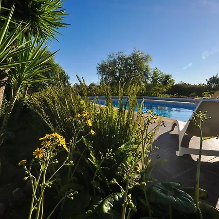 Villa Tropical By Ocvillas *